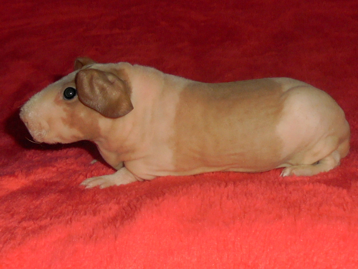 DSC05447.JPG
