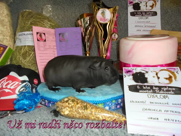 Graciela BIS - prostě nej!
