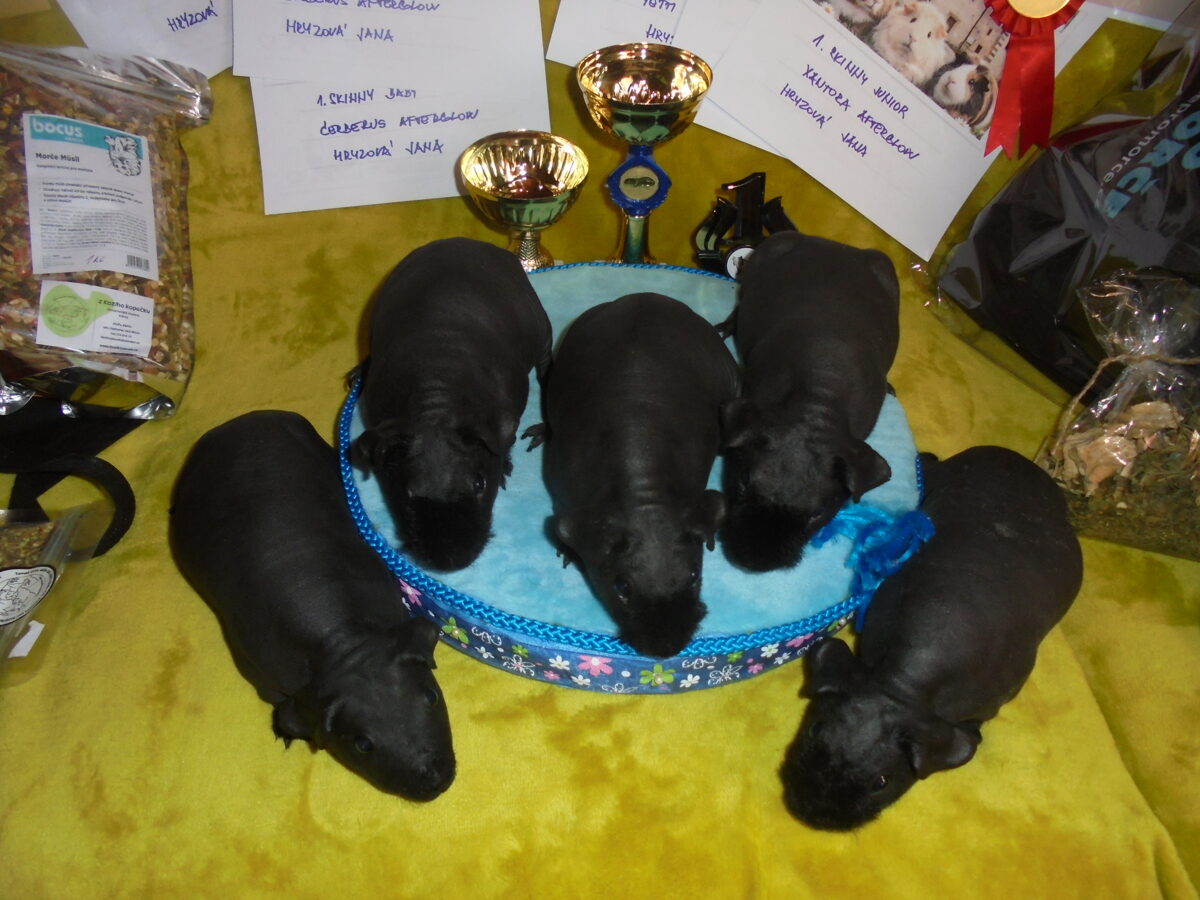 DSC05567.JPG